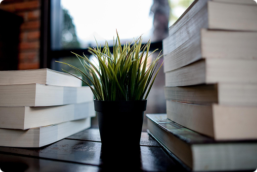 Livres avec plante